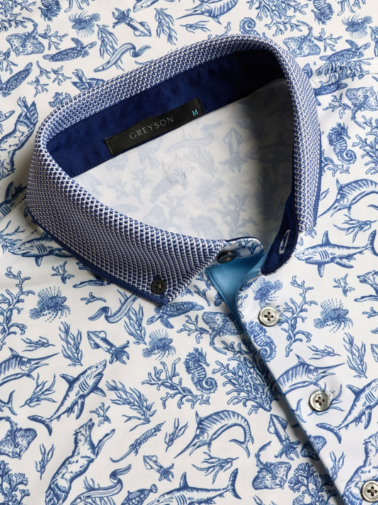 Coral Curiosities Polo - Arctic