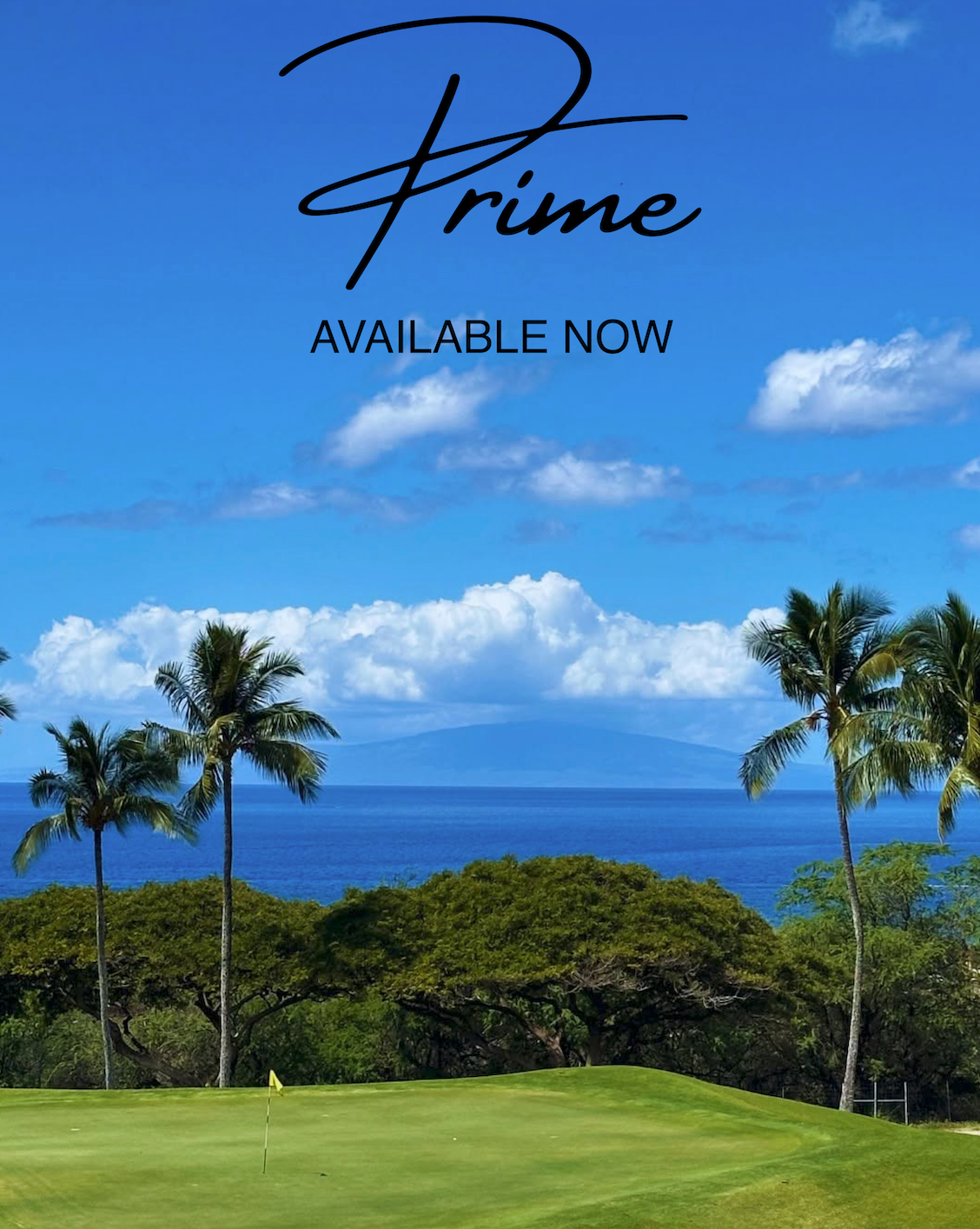 001 Prime Stock - Available Now