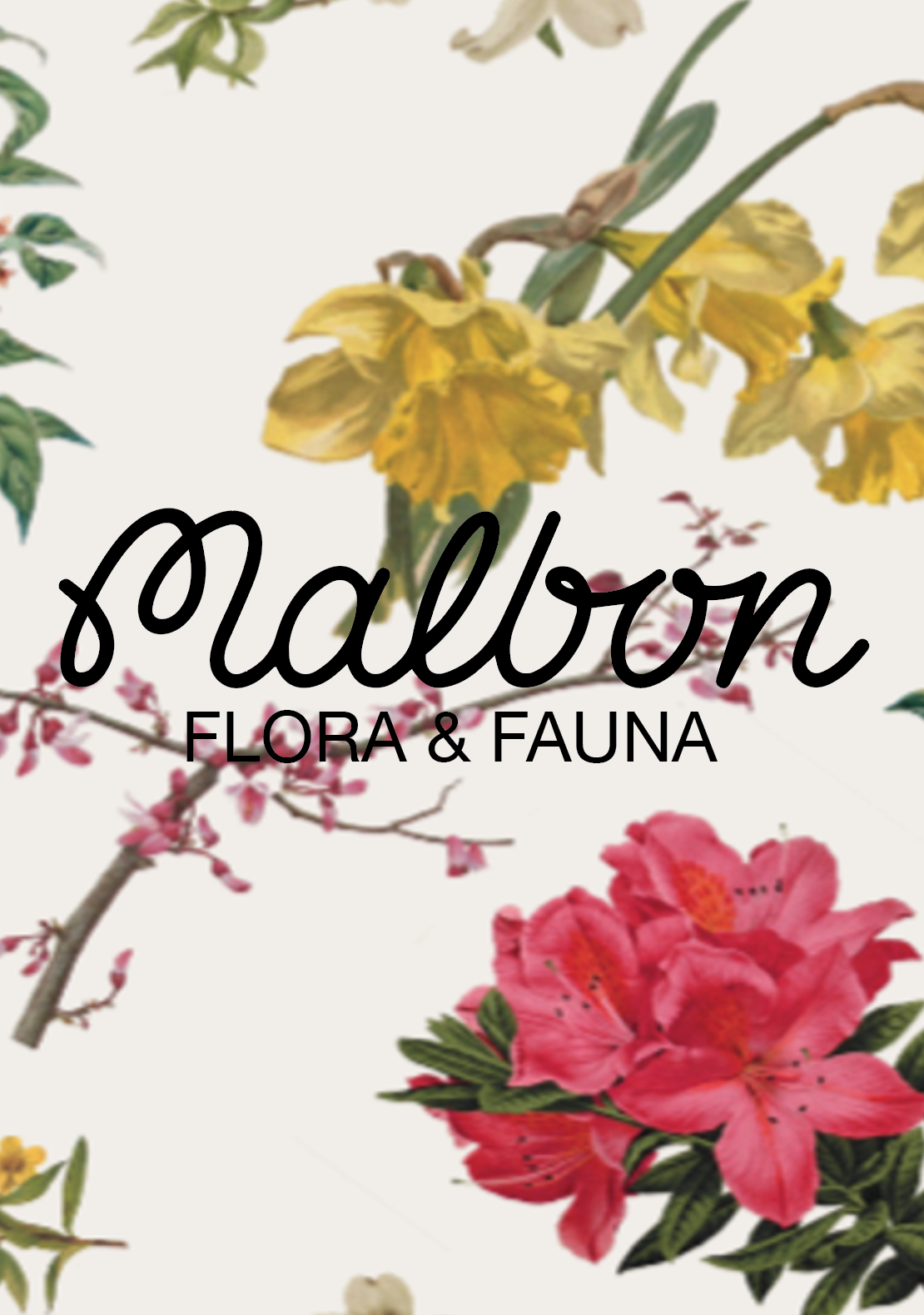 014 Malbon - Flora and Fauna MAR27
