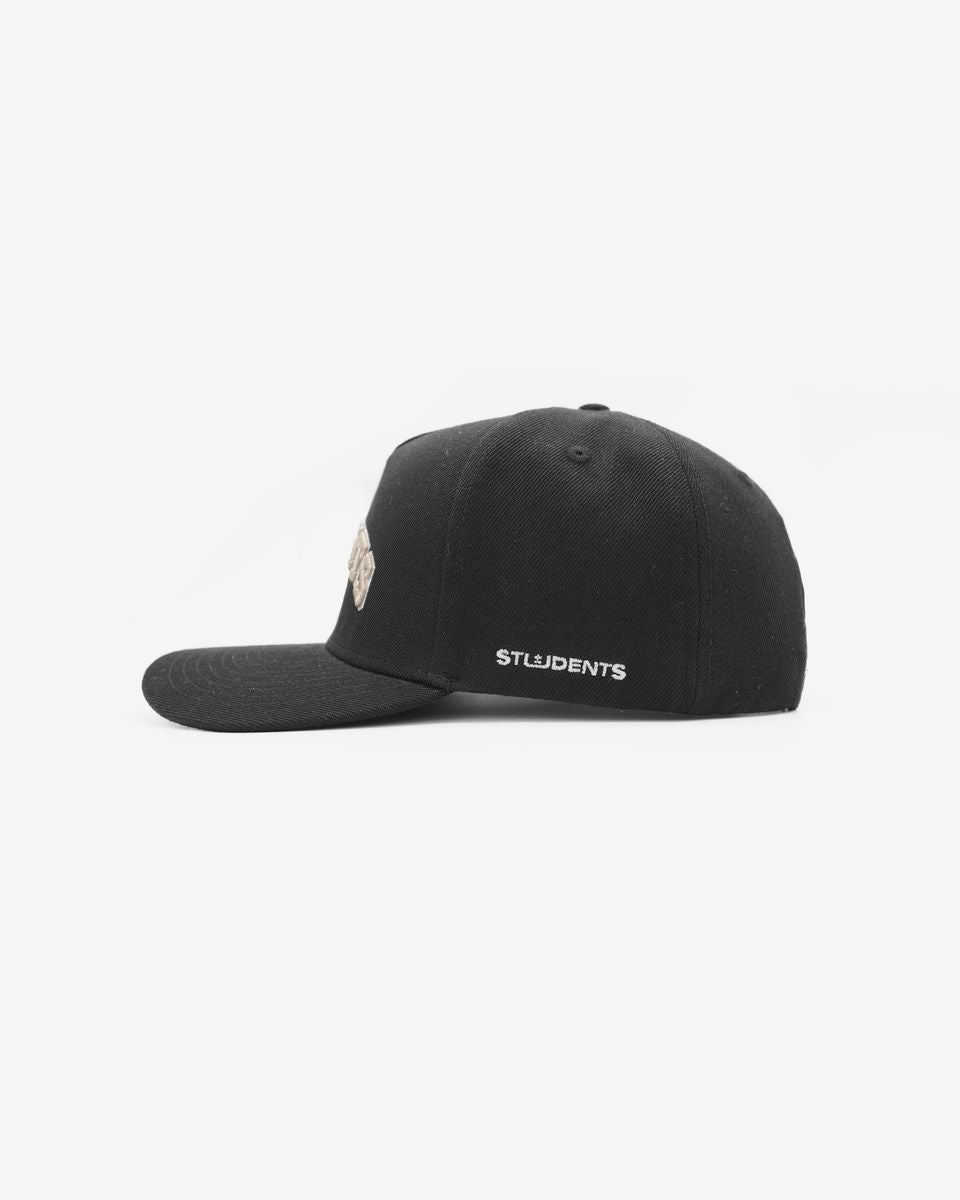 Expert Snap Back Hat - Black / Desert