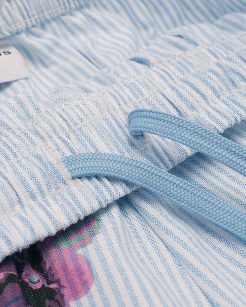 Davenport Stripe Oxford Pant - Light Blue