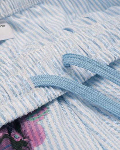 Davenport Stripe Oxford Pant - Light Blue