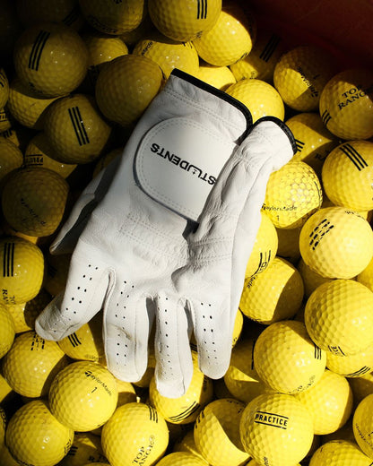 Lesson 2 Cabretta Gloves - White