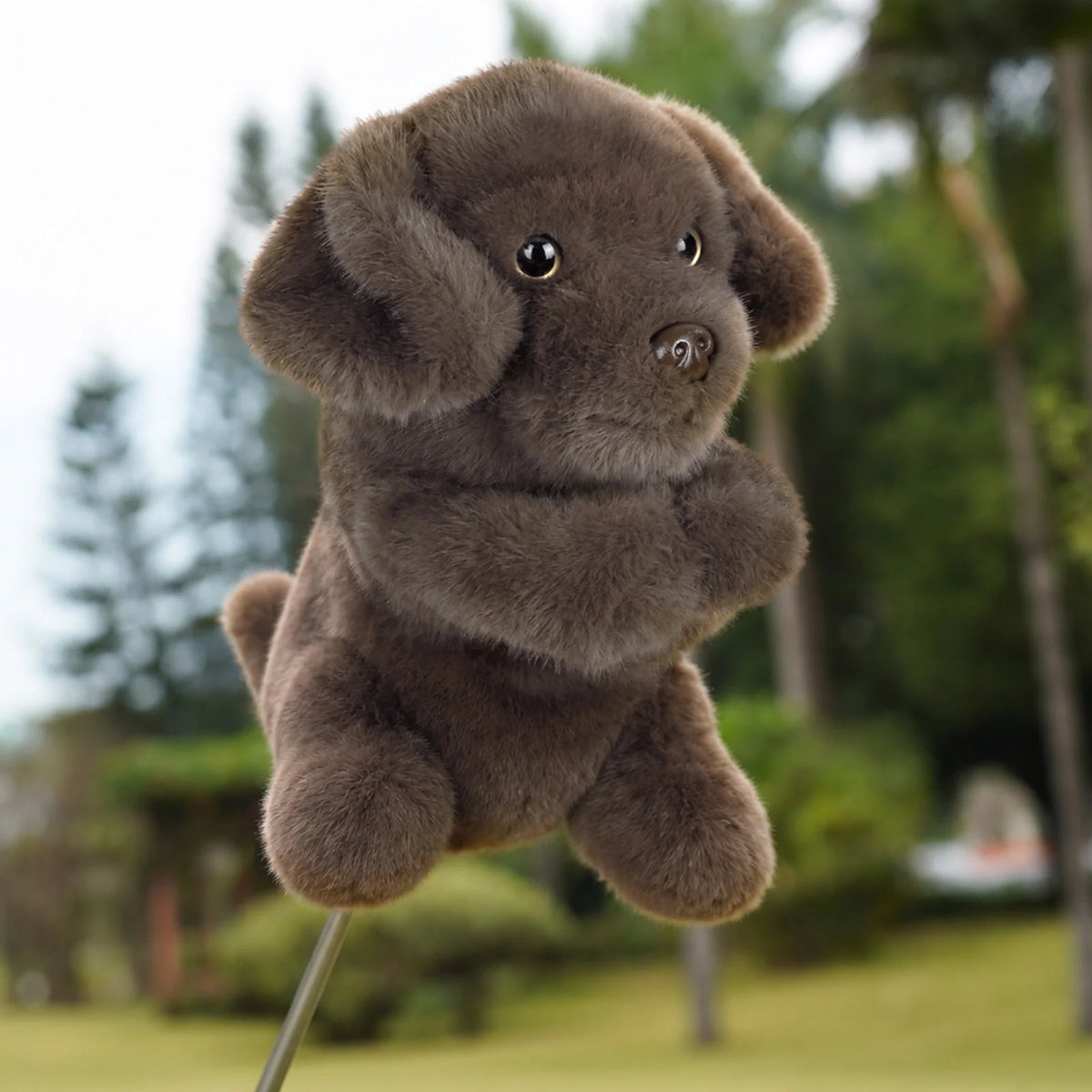 Brown Labrador Driver Headcover