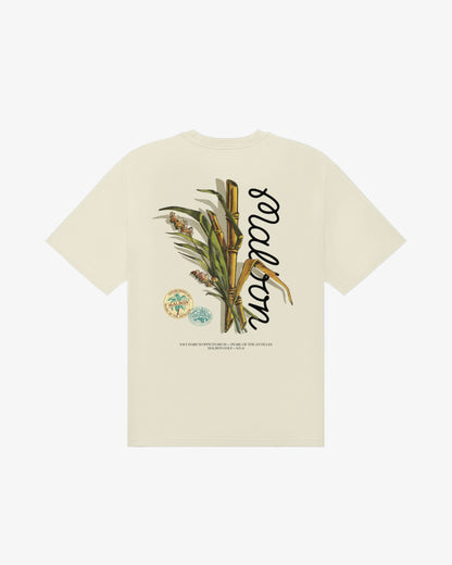 Bermuda Origin Tee - Cream