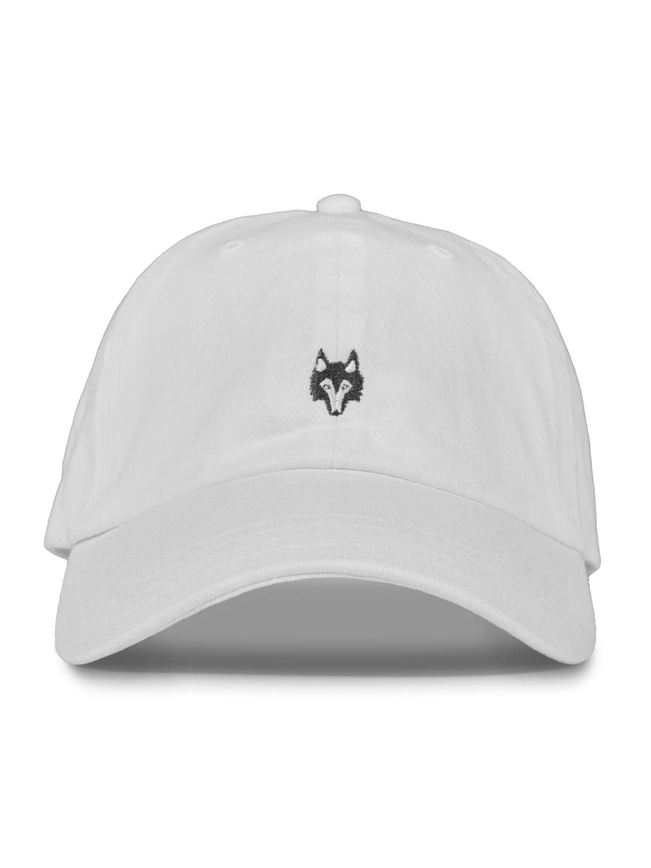 Icon Dad Hat - Arctic