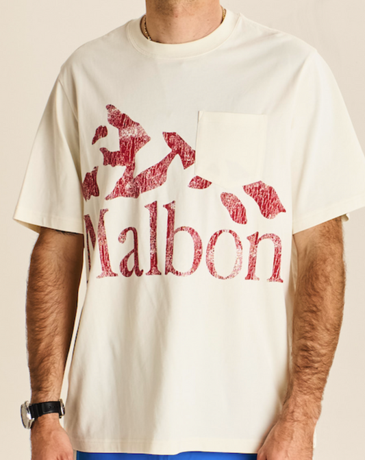 Vista Peak Tee - Ivory